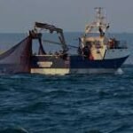 Mauritanie–Algérie : un accord de pêche stratégique qui redessine la coopération économique