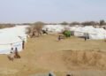 Burkina–Mali : l’axe sécuritaire se resserre face à une nouvelle vague de déplacés