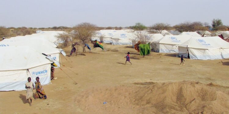 Burkina–Mali : l’axe sécuritaire se resserre face à une nouvelle vague de déplacés