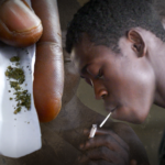 Sénégal : de plaque tournante du transit à nouveau marché de la drogue, l’inquiétante mutation du trafic