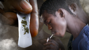Sénégal : de plaque tournante du transit à nouveau marché de la drogue, l’inquiétante mutation du trafic