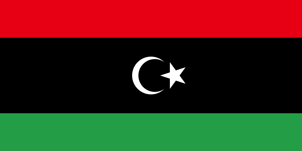Libye : Alger, Tunis et Le Caire réclament des élections simultanées et le départ des forces étrangères