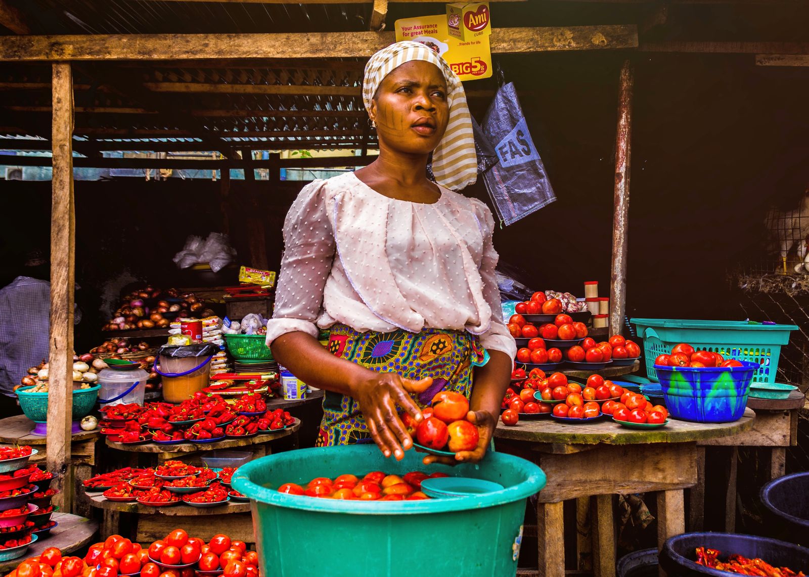 Mauritanie : après la flambée, le kilo de tomates retombe à 500 anciennes ouguiyas selon le ministère du Commerce