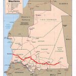 Programme d&rsquo;urgence : Nouakchott envoie ses ministres dans les wilayas pour préparer la phase 2, un député la juge prématurée